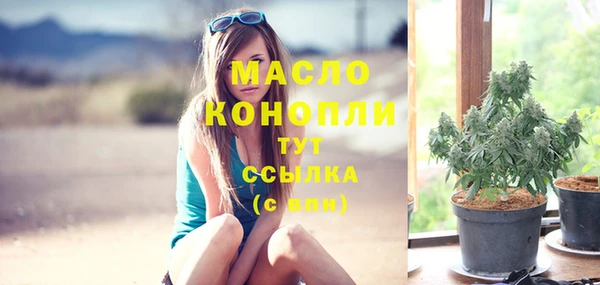 молекула духа Бородино
