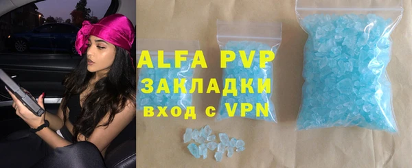 молекула духа Бородино