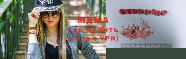 молекула духа Бородино
