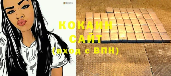 молекула духа Бородино